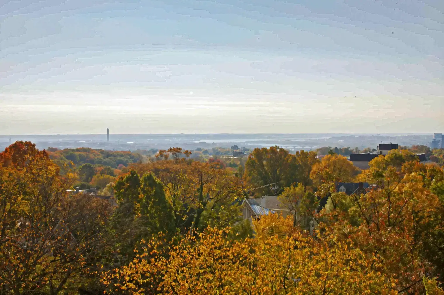 skyline towers washington apartments window view